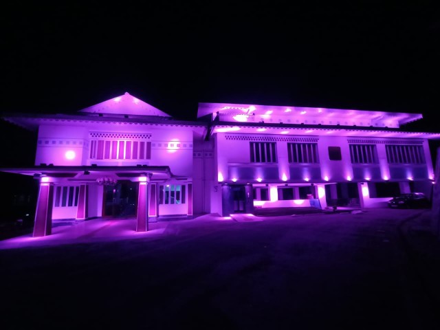 RGBW Flood Light 250W